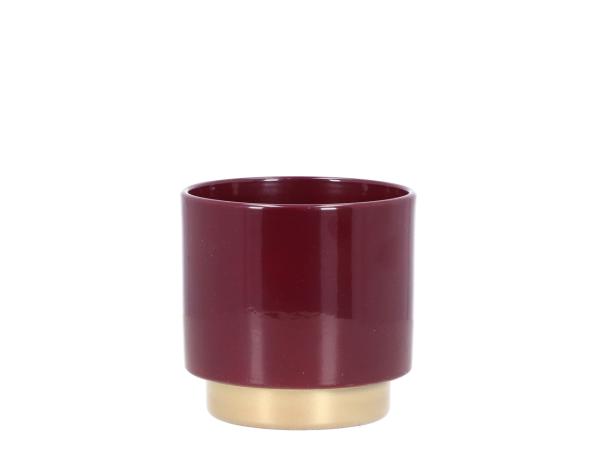 Kübel Bicolor D12cm brombeer gold  D12cm