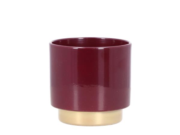 Kübel Bicolor D14cm brombeer gold  D14cm 