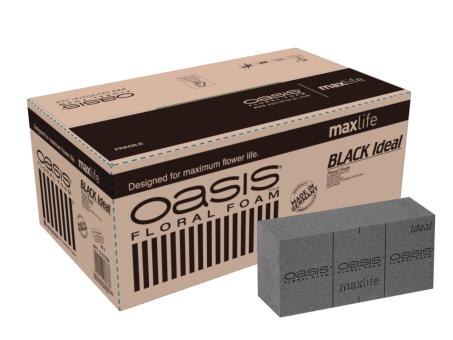 OASIS® BLACK IDEAL Steckziegel 20St L23 B11 H8cm