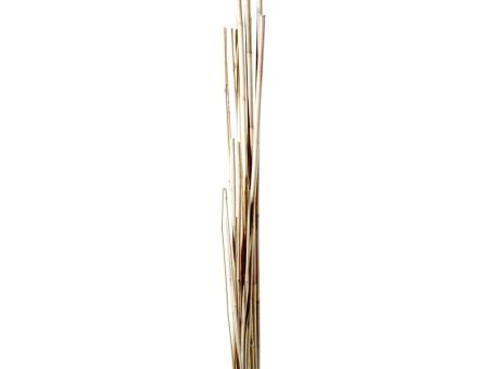 Tonkin D10/12mm L105cm natur D10-12mm L105cm