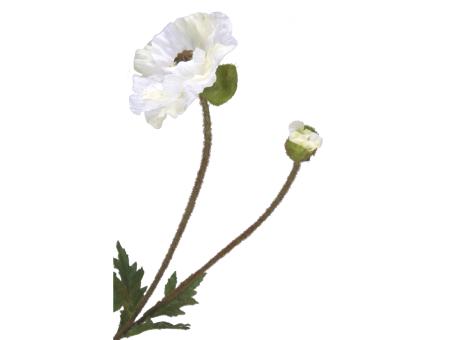 Mohn Papaver 2fach L67cm