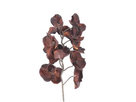 Orchidee Wanda Fashion L60cm   L60cm