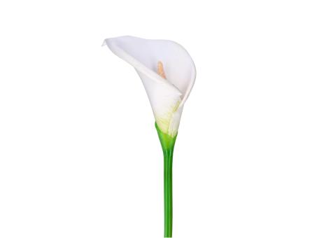 Calla gross Foam Schaumblüte
!! Aktionsartikel- Kein Umtausch / Rückgabe möglich !! D9 L78cm