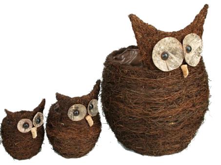 Pflanztopf Eule Feine Rebe D17 (innen12) H2cm