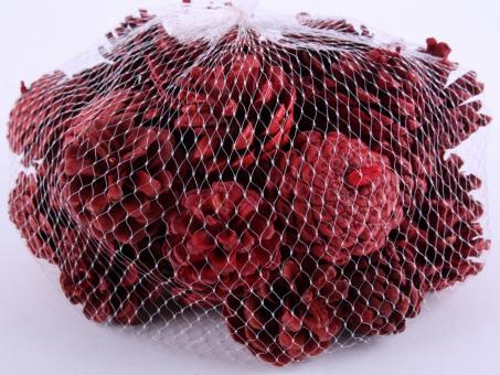 Kiefernzapfen gefärbt Netz 0,5kg   D6 cm/ 0,5kgs