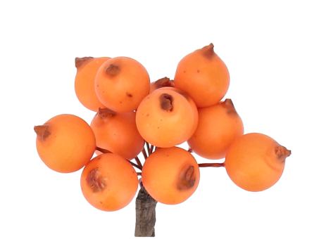 Beerenpick x12 (13mm Beere)   L13 D6cm