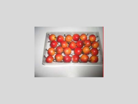 Apfel a Drahtpick   D30mm