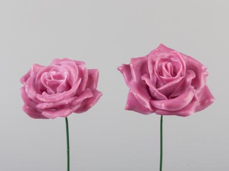 Rose Schaumblüte gewachst D7cm   