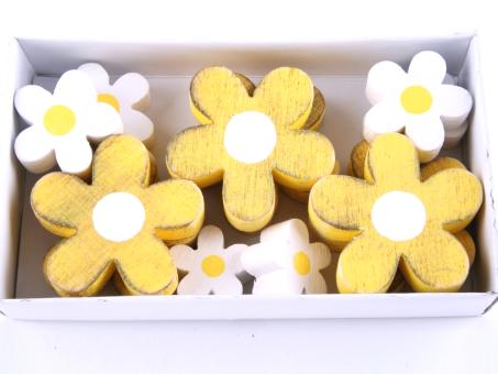 Blüten Holz Box 12 St gelb-weiss sort D3+5cm mix