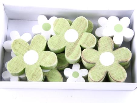 Blüten Holz Box 12 St grün -weiss sort
!! Aktionsartikel- Kein Umtausch / Rückgabe möglich !! D3+5cm mix