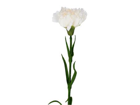 Nelke realtouch D9 L64cm