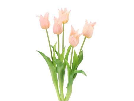 Bündel x5 Tulpe Spitzblüte Rubber   D3,5 H5,5 L45cm