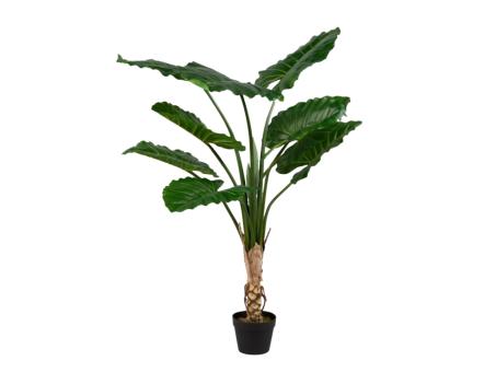 Pflanze Philodendron realtouch i Topf Topf D18 H145cm