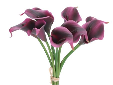 Calla mini coated Bündel 9St  D5 L33cm