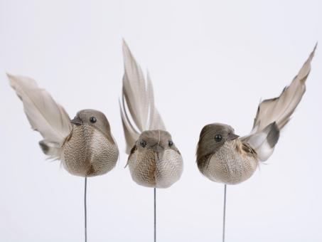 Vogel a Draht 3 Mod.    B3 H4 L15cm