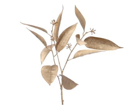 Zweig Eucalyptus L55cm