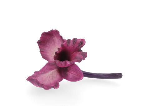 Blüte Orchidee Poly
!! Aktionsartikel- Kein Umtausch / Rückgabe möglich !! B19 T10 H12cm