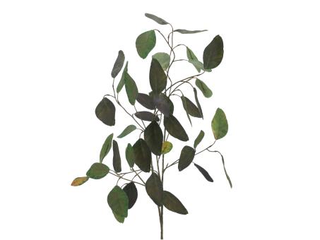 Laubzweig Eucalyptus  L100cm