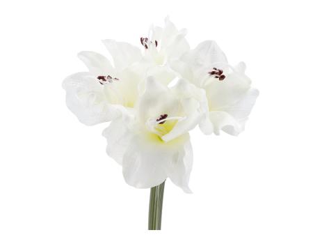 Amaryllis klein Basic 3Blüten L60cm