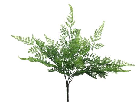 Adiantum Pflanze x7 KST softouch   D24 L45cm