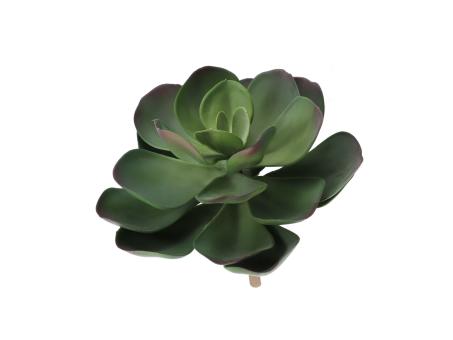 Succulente Deko Extragross  D25 H23cm