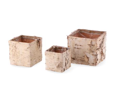 Pflanzwürfel Birke Set3
 D7/9/11 H7/9/11cm