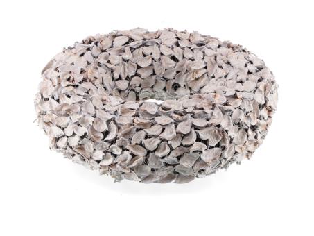 Kranz Schoten Cotton Frucht
!! Aktionsartikel- Kein Umtausch / Rückgabe möglich !! D30 H10cm