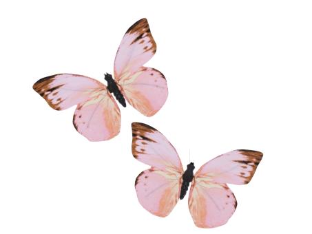 Schmetterling Papier bedruckt a Draht zusätzlich zum Hängen
!! Aktionsartikel- Kein Umtausch / Rückgabe möglich !! D20cm