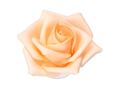 Rose Schaumblüte Lara D4 L20cm