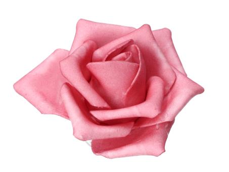 Rose Schaumblüte Lara D7 L25cm