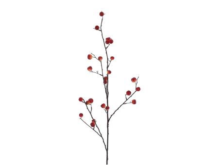 Malus ohne Laub   L90cm