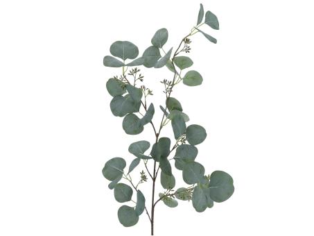 Zweig Eucalyptus x5 L108cm