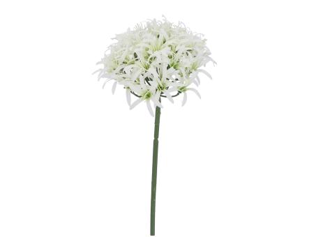 Allium (52Blüten) L69cm