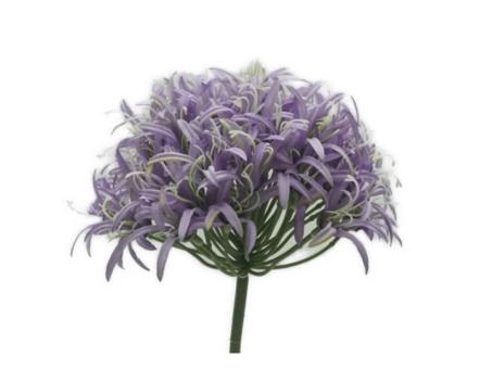 Allium (52Blüten) L69cm