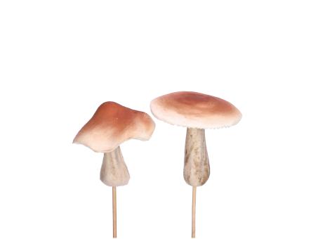 Sortiment Pilz softfoam 2mod a Holzstick D6-7 H5,5-7 L12 (Stab 6cm)