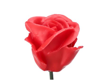 Rose Wachsblüte D5cm