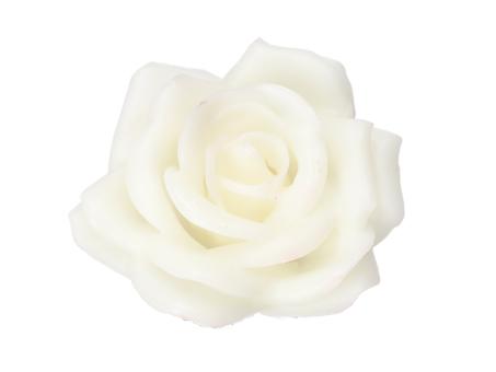 Rose Wachsblüte D7cm