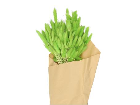 Lagurus Extra Bündel ca. 100gr
!! Aktionsartikel- Kein Umtausch / Rückgabe möglich !! L55-75cm
