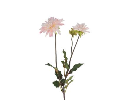 Dahlie 2 Blüten 1 Knospe   L54cm