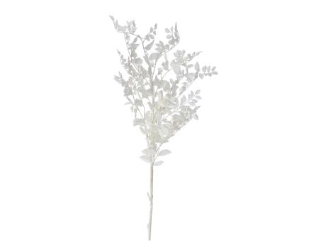 Ruskus Zweig KST DryLook finish  L100cm