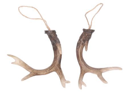 Geweih 2Mod z hängen Polyresin  13x8x6cm