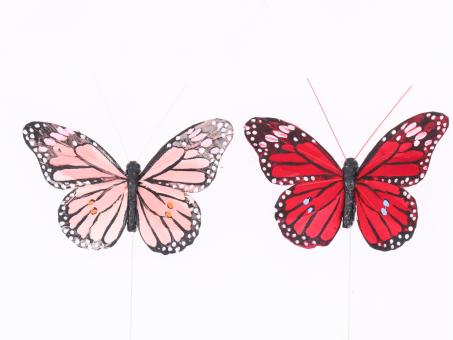 Schmetterling Feder Rosenrot a Draht 2FB rosa+rot B11 cm