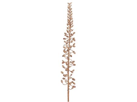 Zweig Eremurus Fruchtstand dry look  L85cm