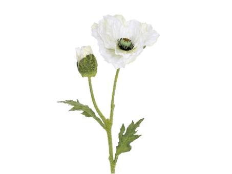 Mohn x2  L57cm