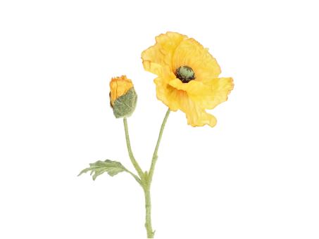 Mohn x2  L57cm