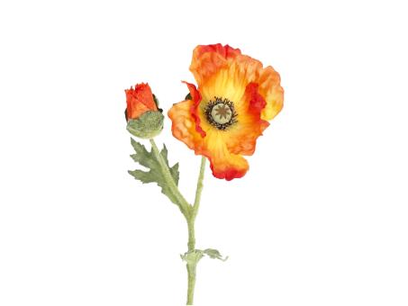 Mohn x2  L57cm