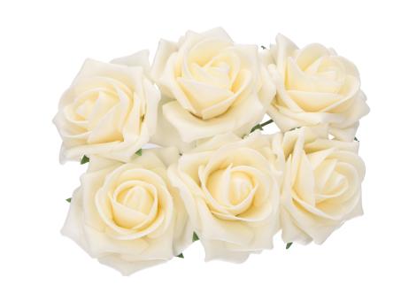 Rose Schaumblüte Primo  D7 L21cm