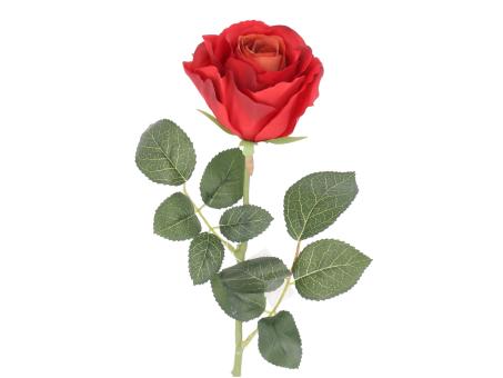 Rose Rosaly D8 L67cm
