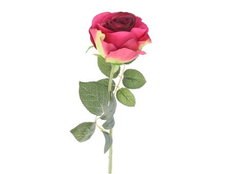 Rose Rosaly D8 L67cm