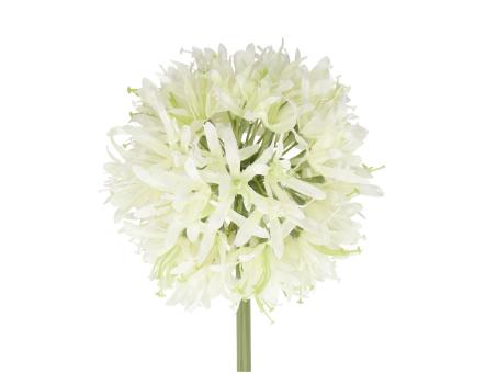 Allium Seide L62cm